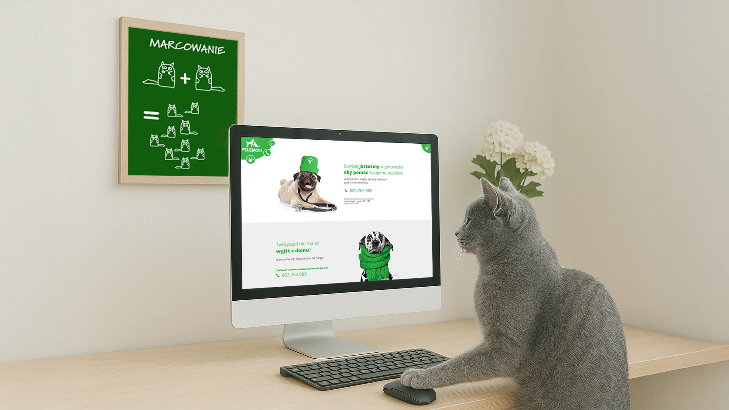 strona internetowa dla gabinetu weterynaryjnego