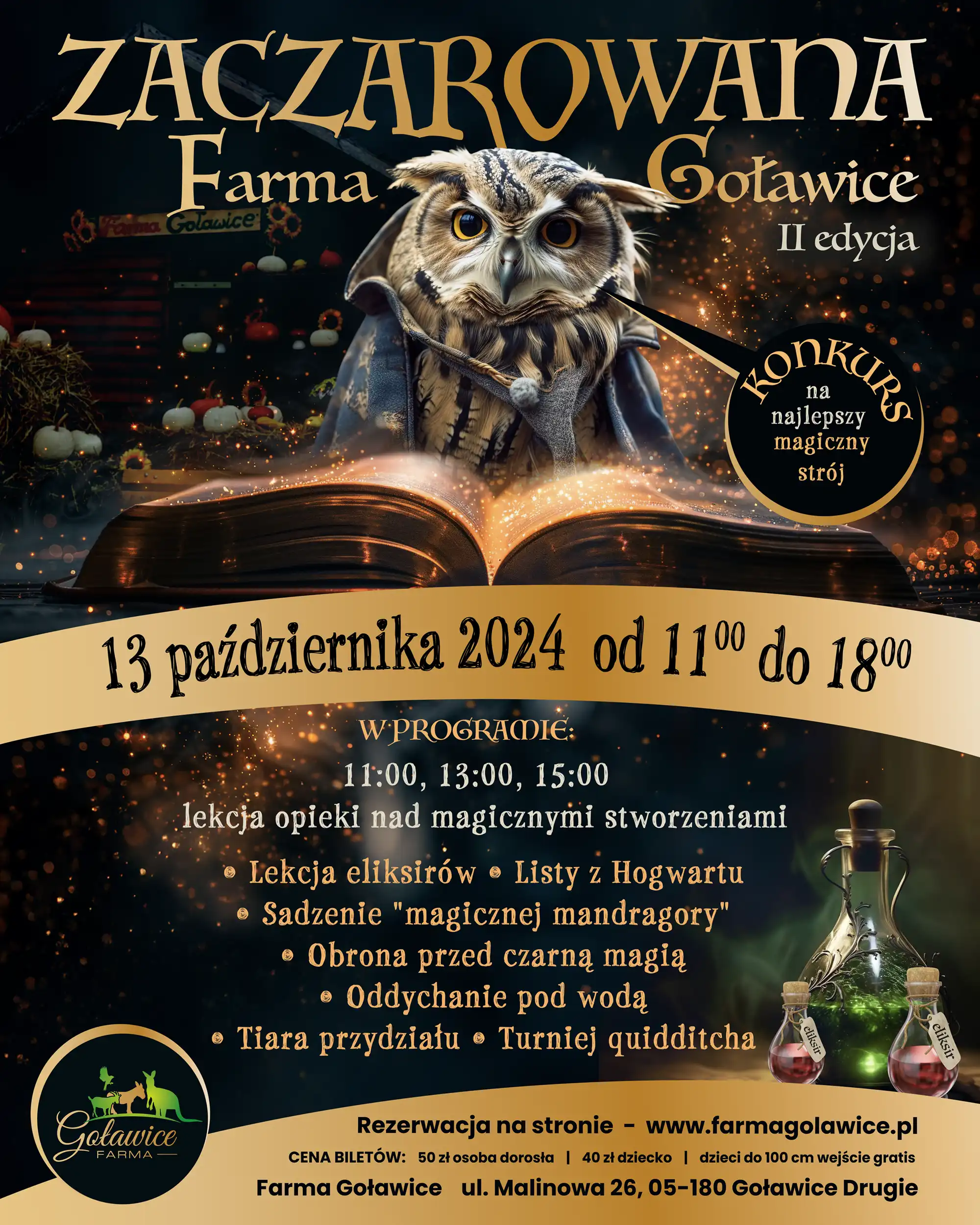 zaczarowana farma Golawice-projekt plakatu-yes-white-studio