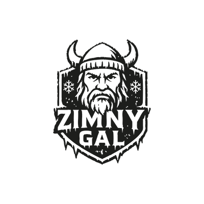Projekt logo dla firmy Zimny Gal klimatyzacje z Łomży