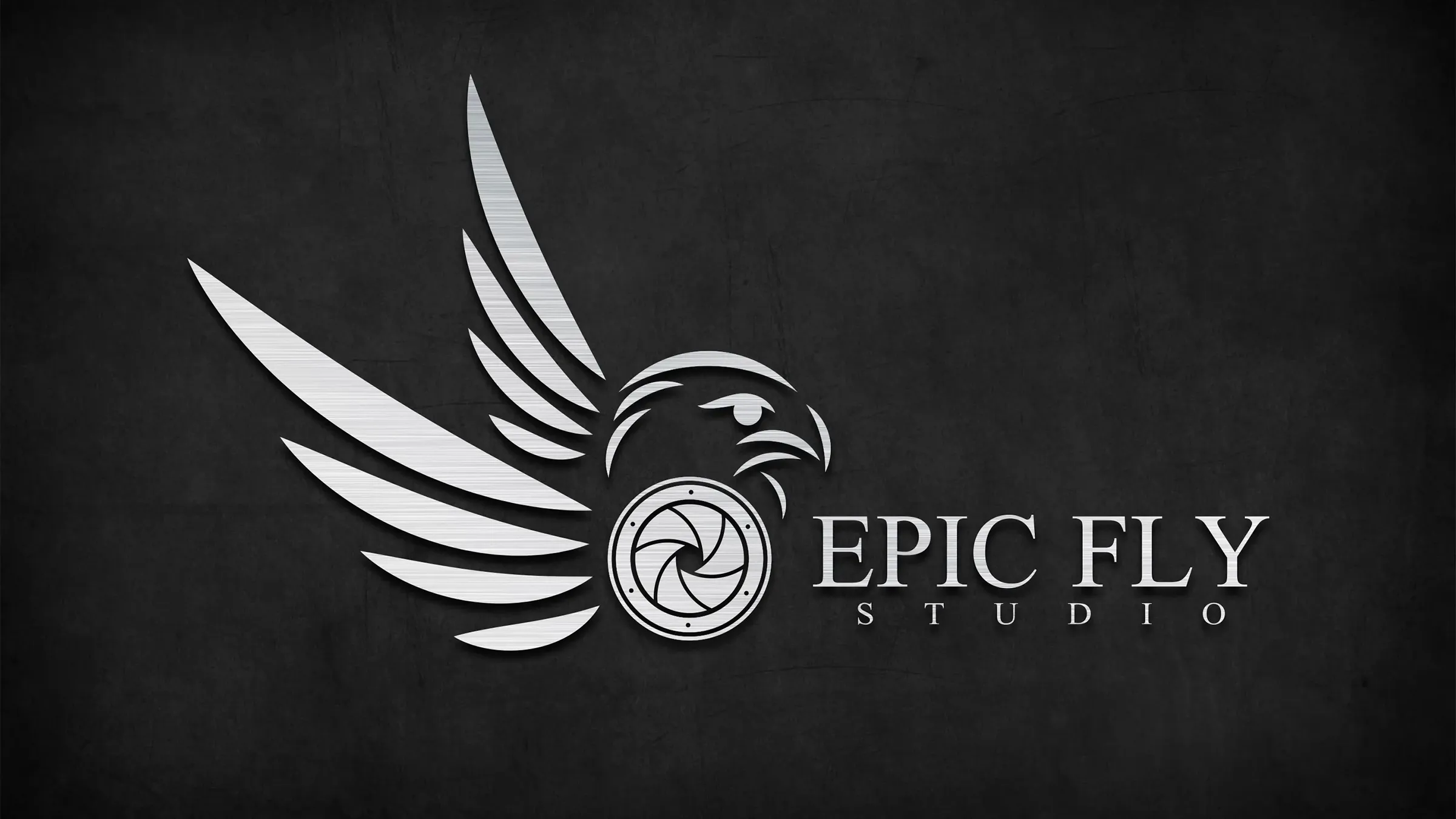 Projekt logo Epic Fly Studio dla fotografa z dronem